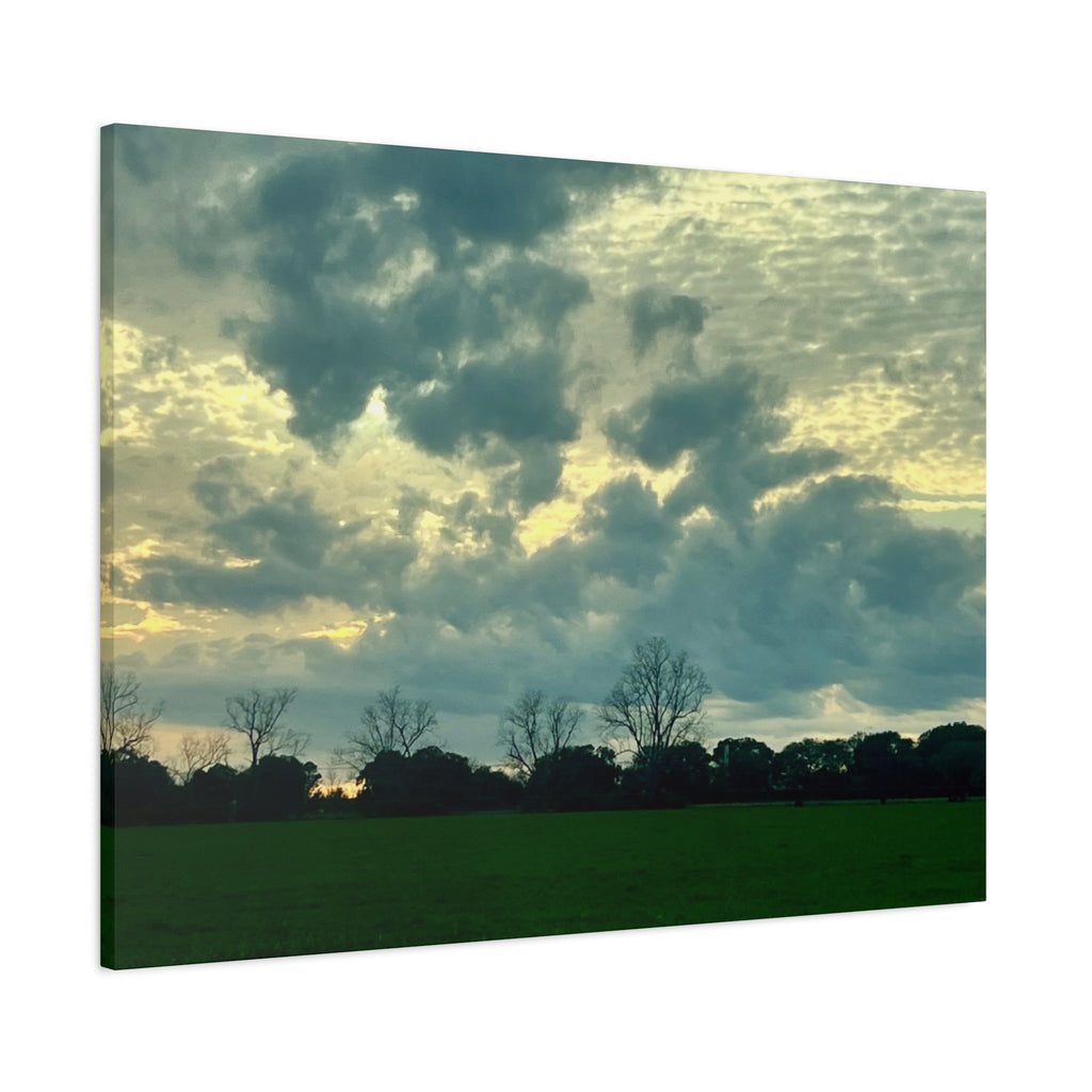 Under a Restless Sky