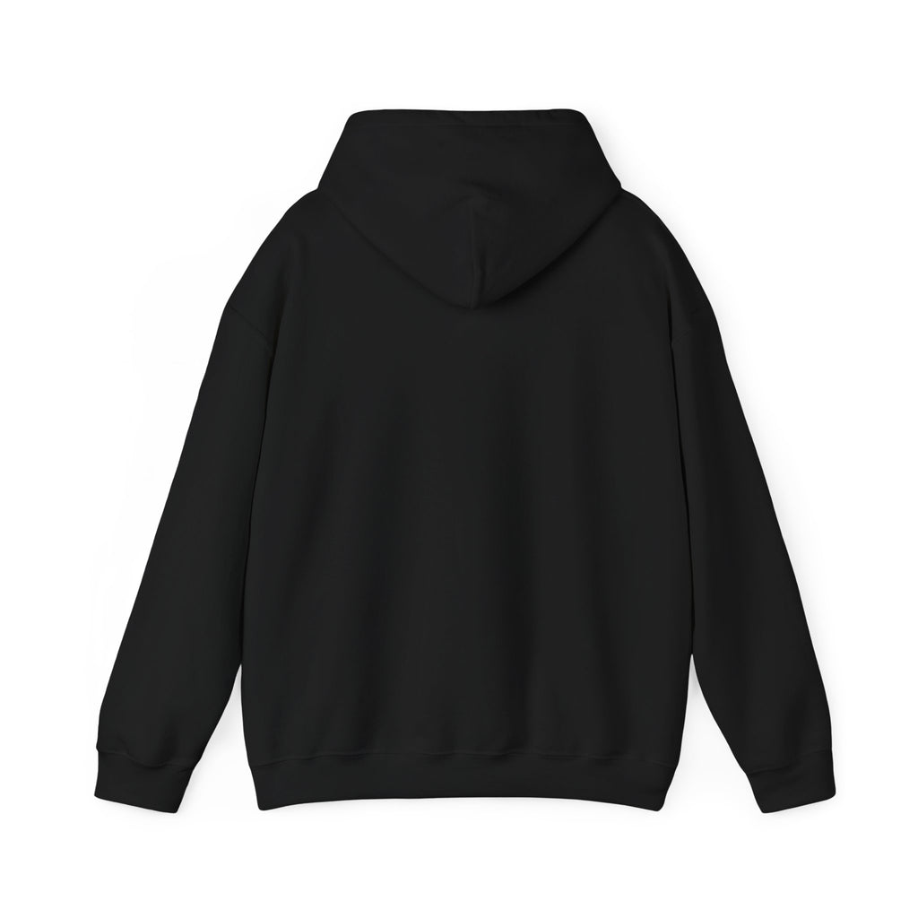 God is my shield Hoodie