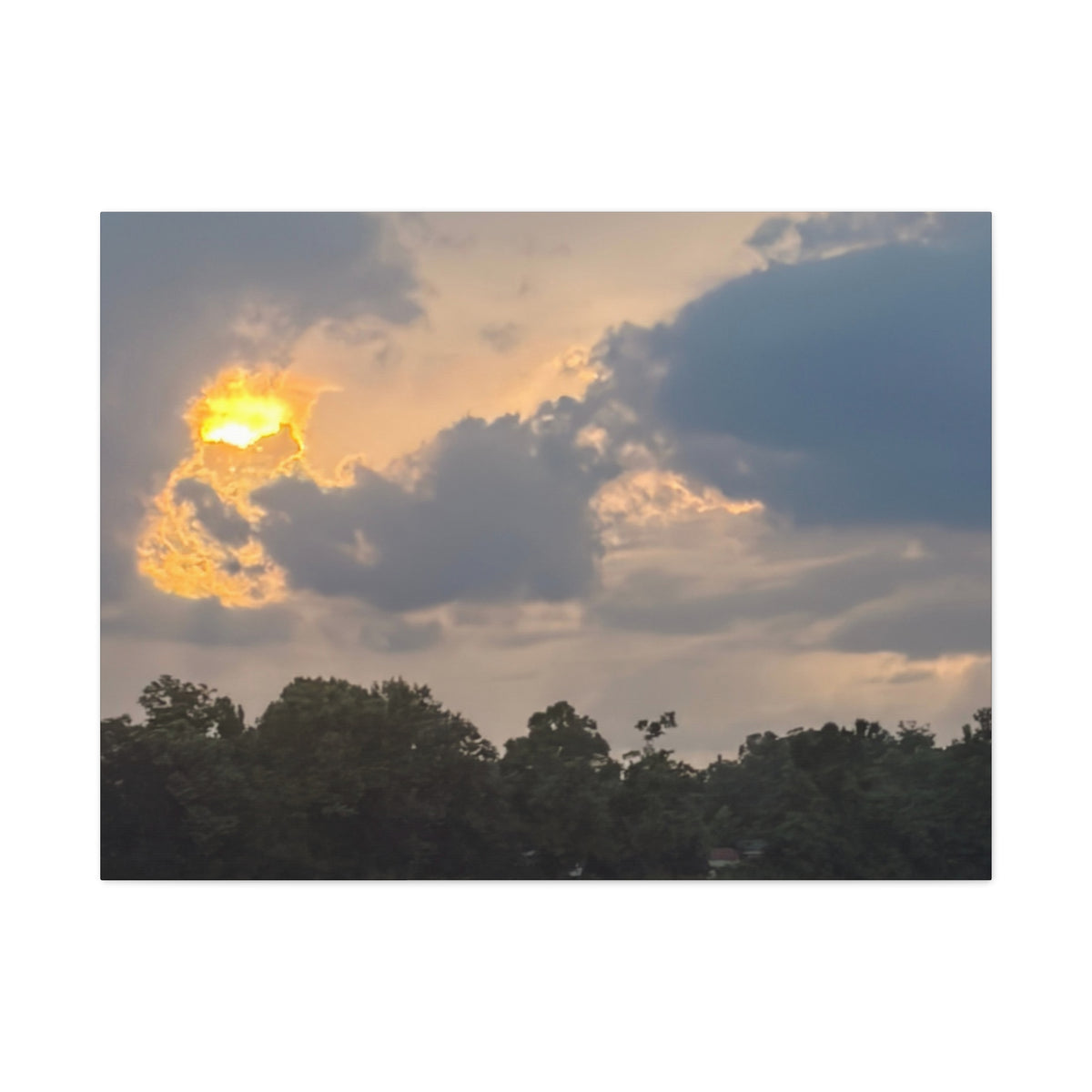 A Fire in the Sky