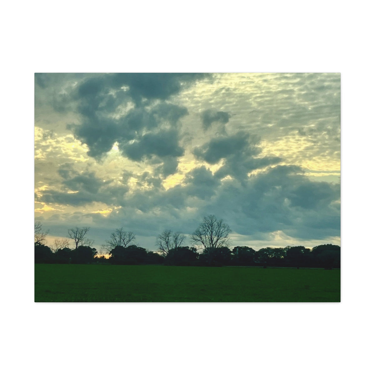 Under a Restless Sky